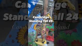 Cambridge Standing Tall 24 Shorts UK Cambridge [upl. by Eilatan]