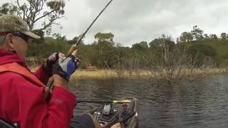 Golden Perch  Googong using a Kayak Grab Anchor  Rod N Paddle [upl. by Schnapp]