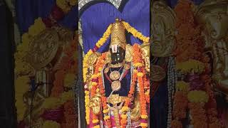 28 September Tirupati Balaji Mandir aaj ke darshan ekadashi today tirupati hari temlpe telugu [upl. by Oikim]