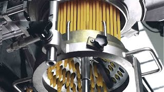 Pasta secca corta Dry short pasta production Lignes pates seches courtes [upl. by Nodnarbal]