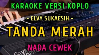 TANDA MERAH  ELVY SUKAESIH  KARAOKE NADA CEWEK  VERSI KOPLO [upl. by Landes]