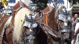 Herbstfest Rosenheim Festzug 27082016 v14 15 UHD [upl. by Eetnom]