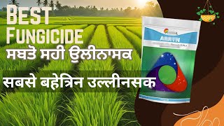 Best fungicide for vegitables  Swal Arryan bestfungicide arryan dashmeshpesticides krishi [upl. by Alton957]