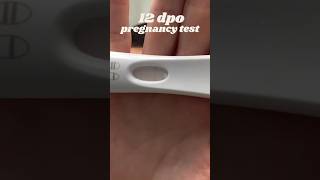 12 DPO Pregnancy Test ttc infertility [upl. by Kareem]