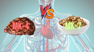 Vitamin K2 Showdown MK4 vs MK7 [upl. by Yrneh886]