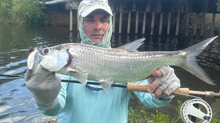 PESCA EN EL CARIBE EN AGUA DULCE Y SALADA FISHING IN THE CARIBBEAN IN FRESH AND SALTWATER [upl. by Nyleak]