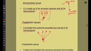 Evolution  Phylogenetic trees  monophyletic group  paraphyletic group  polyphyletic group [upl. by Lise]