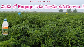 Corteva Engage Insecticide Uses Telugu  Engage Insecticide Dosage  potash fertilizer water soluble [upl. by Ahsotan207]