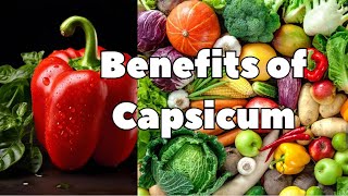 Capsicum A Tomato OR Chili Make it a part of your nutrition [upl. by Raymonds]