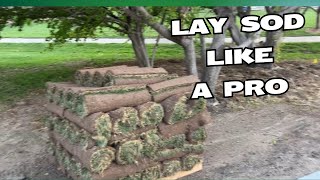 How to Sod a Yard [upl. by Tigges]