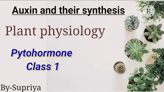 Auxin Phytohormone  Phytohormone Class 1  csirugc net life science june 2024 [upl. by Yak]