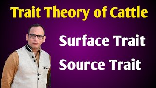 Trait Theory of Cattle l Cattle Personality Theory l Surface Trait l Source Trait by Dr Vivek [upl. by Xam]