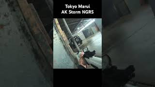 Tokyo Marui AK Storm NGRS [upl. by Felizio308]