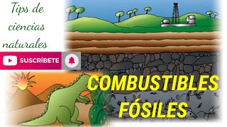 Combustibles fósiles [upl. by Ahsenrac]