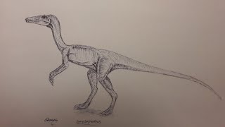 How to draw the compsognathus part 1 basic [upl. by Carnahan]