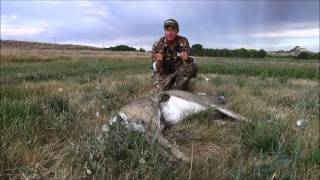 Mark Kayser Discusses Epizootic Hemorrhagic Disease EHD In Whitetails [upl. by Gav]