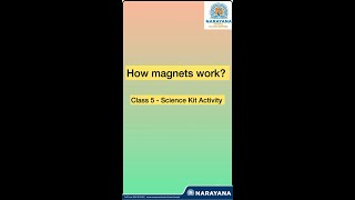 Unlocking the Secrets of Magnets  EChamps at Narayana School  Sodepur [upl. by Brendon]