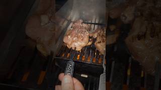 Juicy Grilled Chicken Thighs with STOV Grill [upl. by Derfiniw]