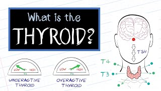 What is Thyroid Disease HealthSketch [upl. by Hale815]