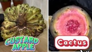 🟢 ASMR Custard apple amp Cactus fruit fruit satisfying nature [upl. by Kalam]