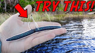 This WILL CHANGE The Way you Fish A Wacky Rig FOREVER [upl. by Rina]