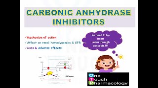 CARBONIC ANHYDRASE INHIBITORS  ACETAZOLAMIDEWEAK DIURETICS [upl. by Auqinal479]