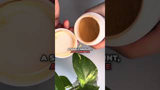 Acerola Powder Benefits amp Uses [upl. by Eislel]