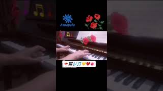 Amapola 🌺 🎵 🎹 💛 ❤️ [upl. by Sigismund239]