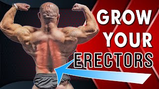 Tips For Spinal Erector Growth [upl. by Ahsie373]