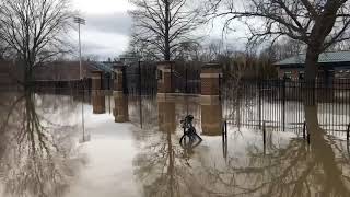 Flooding on Michigan State campus [upl. by Anayk444]