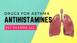 VET PHARMA 2  Drugs for Asthma Antihistamines  Module 207 Student Output [upl. by Kendyl737]