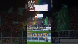 Curva Sud Casablanca rajacasablanca raja rca greenboys ultraseagles curvasud ultras shorts [upl. by Chaworth677]