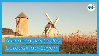 À la découverte des CoteauxduLayon [upl. by Castle]