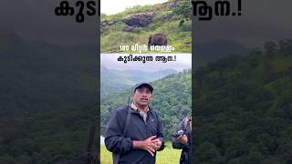 100 ലിറ്റർ വെള്ളം കുടിക്കുന്ന ആന  Periyar Tiger Reserve  shorts [upl. by Eyahs]