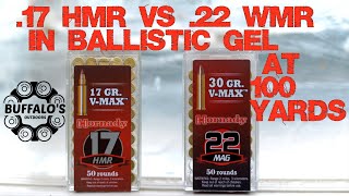 VMAX BALLISTIC GEL TEST  22 WMR vs 17 HMR [upl. by Ahsenrad]