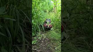 Traxxas trx4 high trail sport rc [upl. by Simmonds]