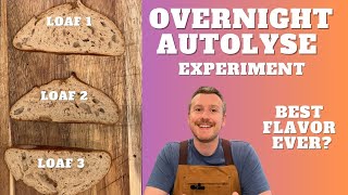 Is Overnight Autolyse the Key to the Best Sourdough  Baking Experiment [upl. by Antoinetta478]