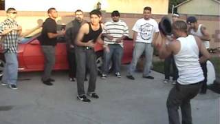 Cholos Bailando Cumbia Parody [upl. by Boutis242]