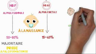 comprendre la drépanocytose en 12 min [upl. by Fruma457]