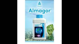 Almagor fungicide Adama new fungicide  અદામાં ફૂગનાશક  azoxystrobin prochloraz tabuconazole [upl. by Karlow]