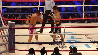 AUDIENCE SHOT naoya inoue destroys jamie mcdonnell [upl. by Danit]