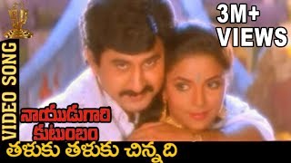 Taluku Thaluku Chinnadi Video Song  Naidugari kutumbam Telugu Movie  Suman  Swarna [upl. by Lleoj]