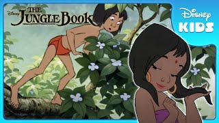 Mowgli Finds the Man Village 🏡  Jungle Book  Disney Kids [upl. by Jehiel]