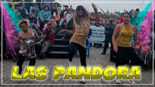 El Concierto de las PANDORA 😱🔥 Termina Mal 😂  Confianzita Ft Chuekin Ft Jofresito Jr [upl. by Saloma]