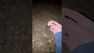 Rock  Hill Part 1 edit funny rockvshill [upl. by Alford678]