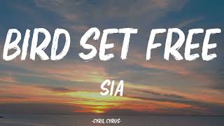 Sia  Bird Set Free Lyrics [upl. by Rammaj]