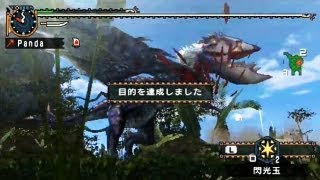 【MHP2GMHFU】 双子の黒狼鳥 【猫火ハンマー】 [upl. by Aiela]