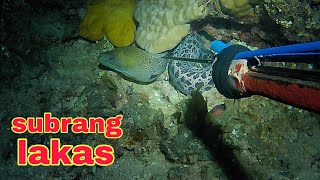 ep414 Dive2 ahas dagat sa subrang lakas hindi kinaya ng Pana ko naka ponet [upl. by Limay]