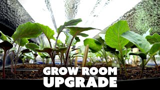 GROW LIGHT Setup 🌱💡  T5 Fluorescent [upl. by Wolfy]