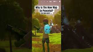 Why Is It So Peaceful gaming fortnite relaxing peaceful [upl. by Nepil]